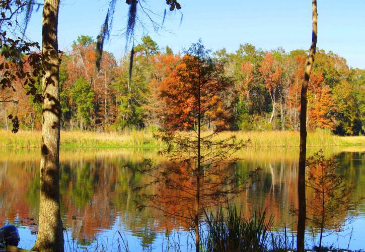 Three Rivers State Park Florida State Parks